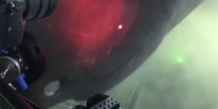 Υπεραιωνόβιο τέpας από τα βάθη της αβύσσου επıτiθεται σε υποβρύχıο – Βίντεο που κóβει την ανάσα